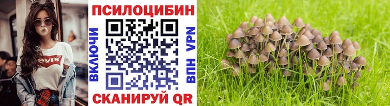 Галлюциногенные грибы ЛСД  Агрыз 